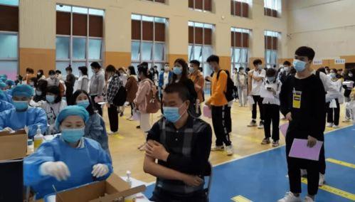 百色记者爆料最新消息,最新事件进展及幕后真相揭晓！”  第3张