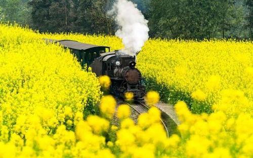 颖儿油菜花爆料了吗视频,颖儿油菜花爆料视频幕后真相揭晓 第3张 颖儿油菜花爆料了吗视频,颖儿油菜花爆料视频幕后真相揭晓 第3张