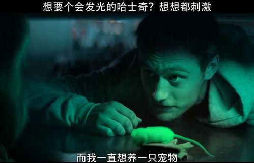 夜感视频在线观看,探索在线观看夜感视频的独特魅力  第2张